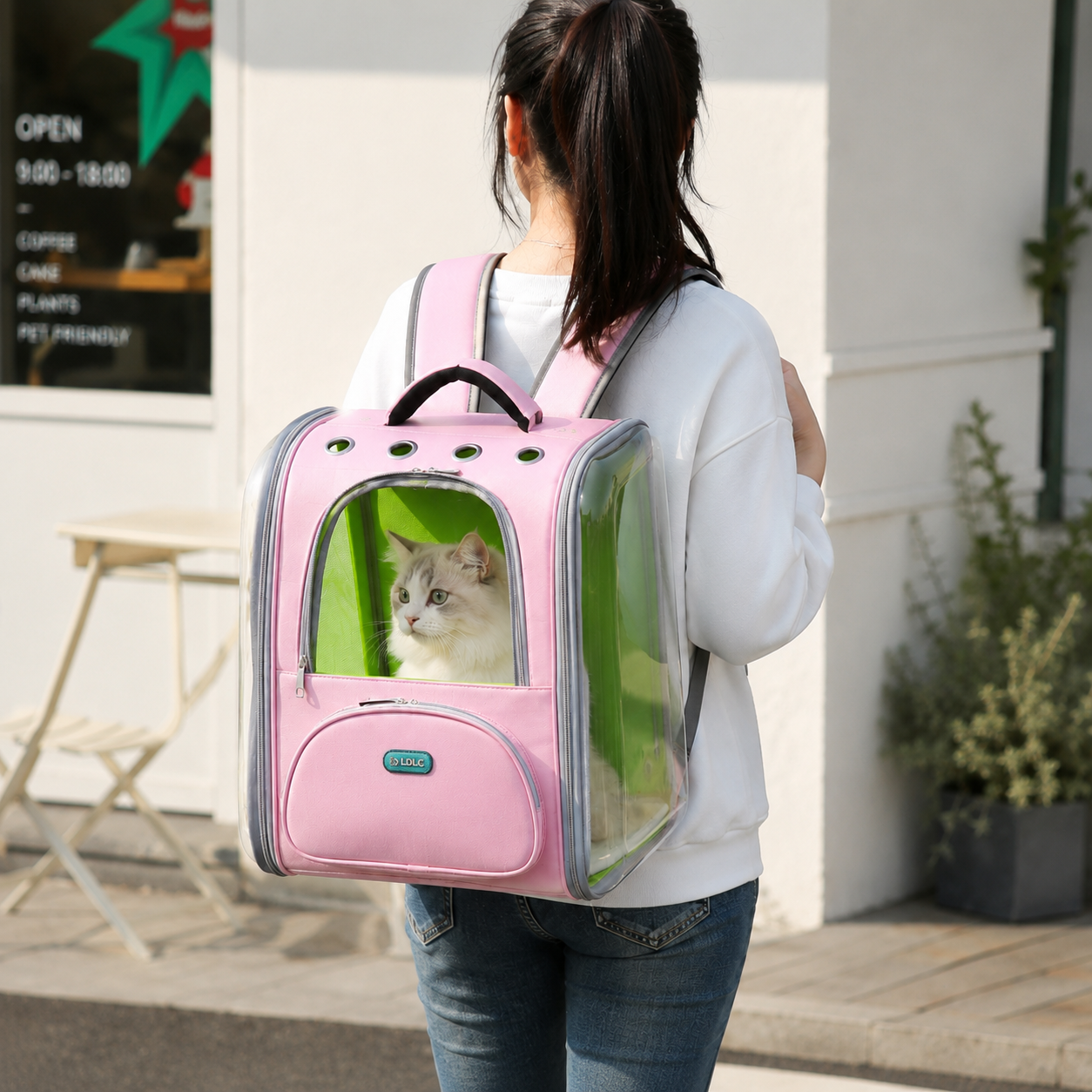 Transparent Pet Travel Backpack