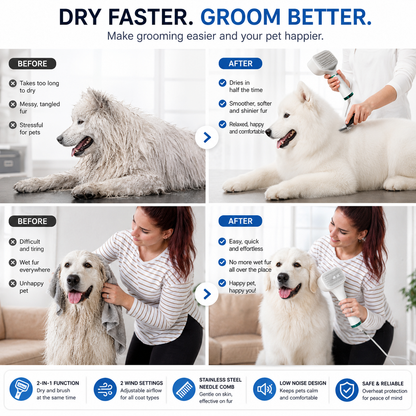2-in-1 Pet Dryer Brush – Groom & Dry in One Go