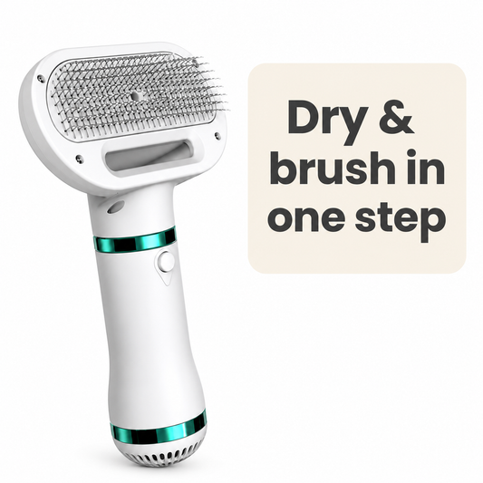 2-in-1 Pet Dryer Brush – Groom & Dry in One Step